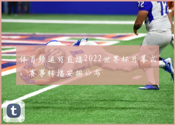 体育频道将直播2022世界杯开幕式，赛事转播安排公布